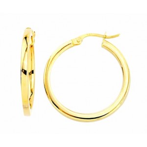 Gold Earrings 10kt, AR40-10-10